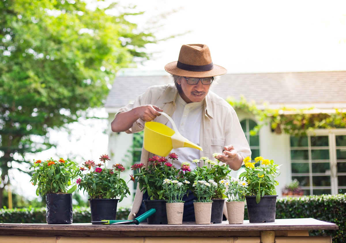 Gardening in pots