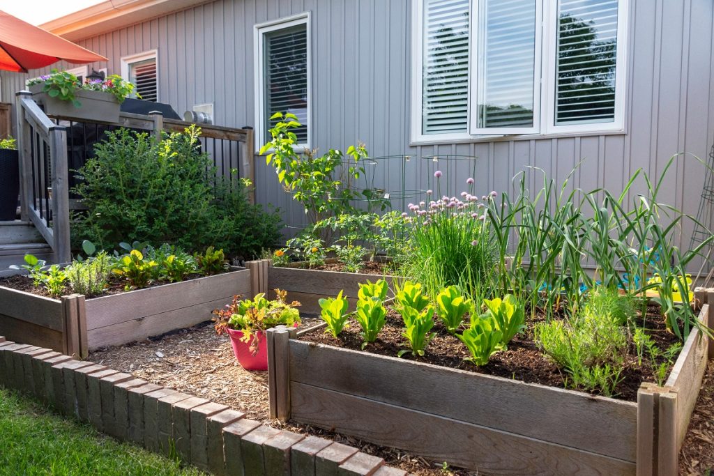 Raised garden beds