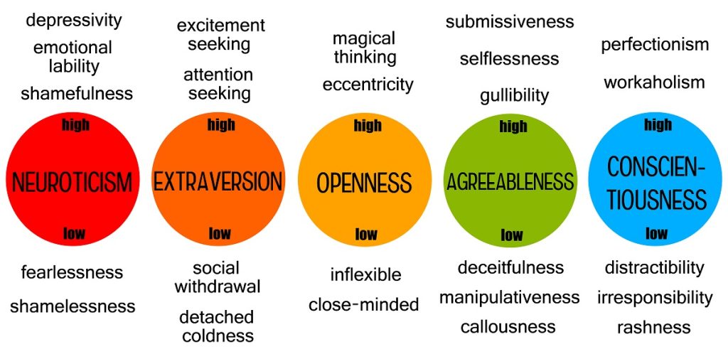 Big 5 Personality Traits