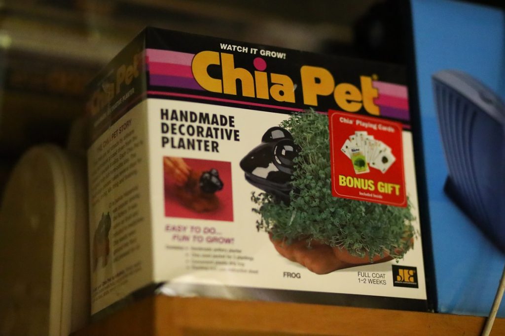 Chia pet