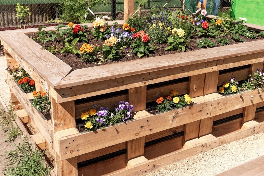 Raised beds for easy access