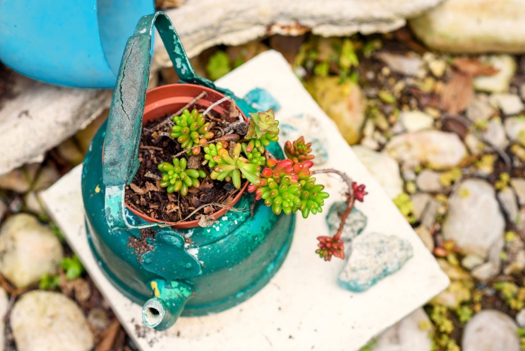 Repurposing pot as planter
