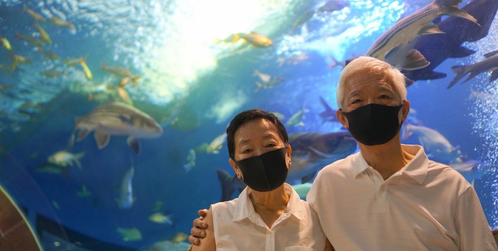 Aquarium with dad