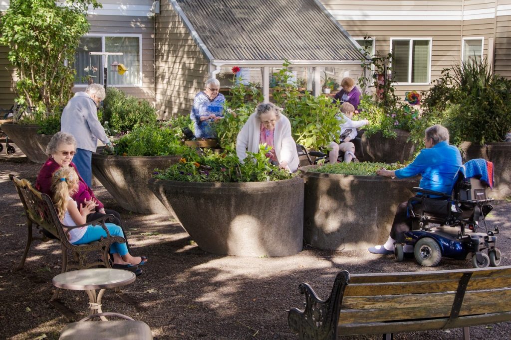 Gardening activity in assisted living